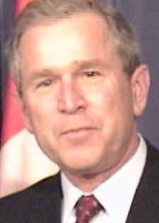 Bush, une époque